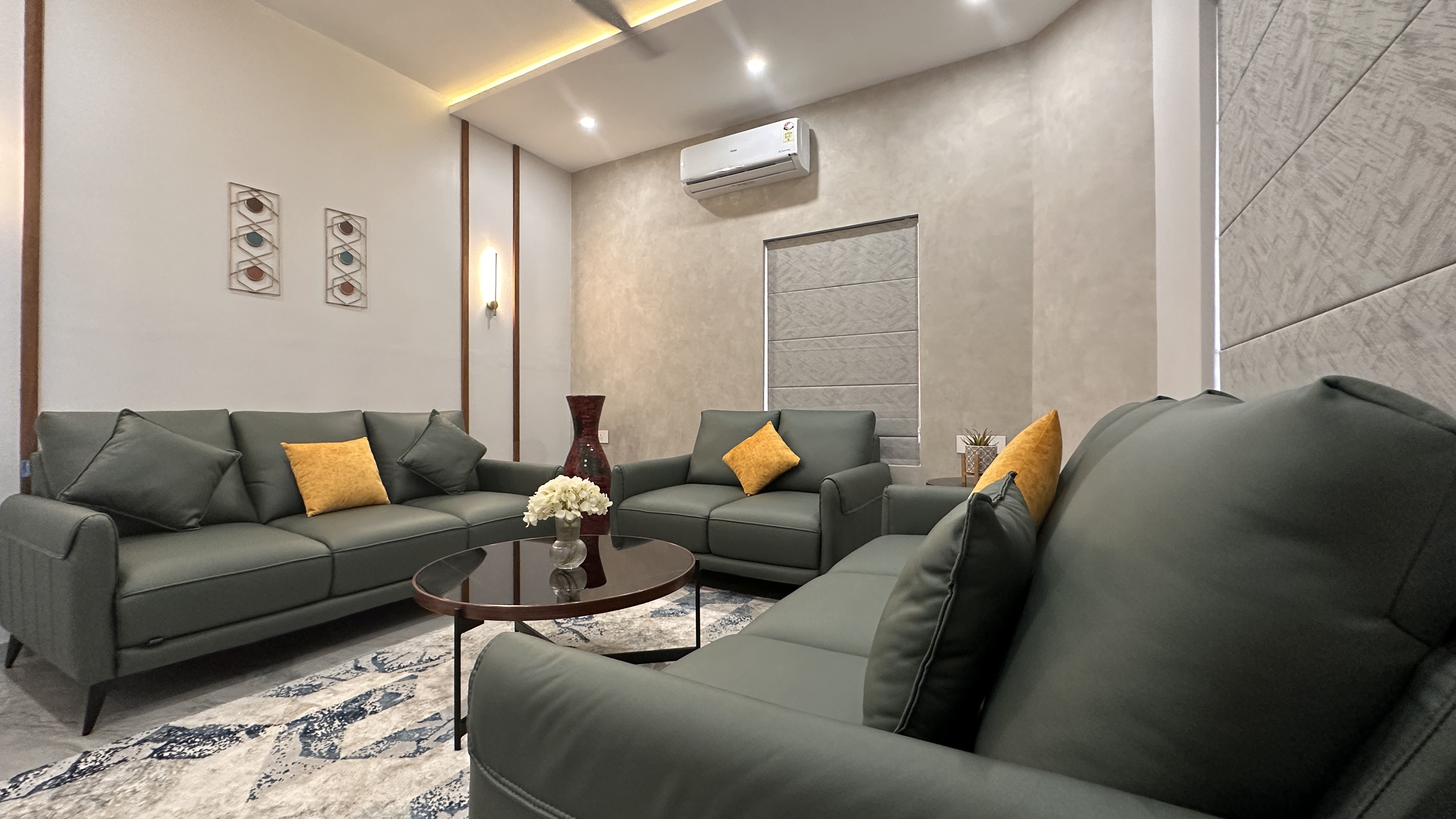 Close-up top view of a single plant with flat leaves with rounded sides and pointy tips, showing small serrations along the leaf margins.