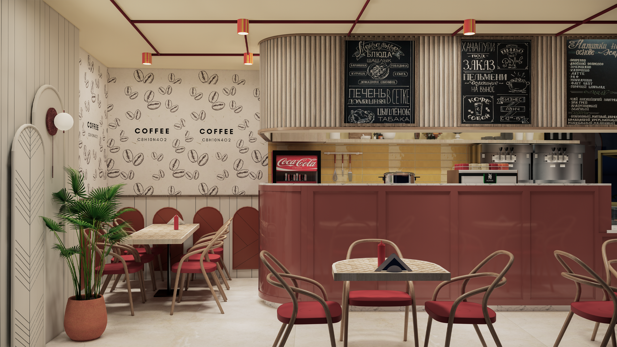 Top view of at least 3 plants with flat leaves with rounded sides and pointy tips arranged radially.